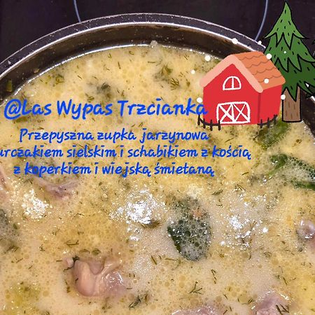 Noclegi "Las Wypas" Trzcianka Dış mekan fotoğraf